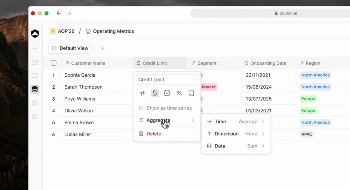 Oculon customer database with credit limits and aggregation settings across time, dimensions and data.